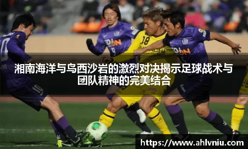 湘南海洋与鸟西沙岩的激烈对决揭示足球战术与团队精神的完美结合